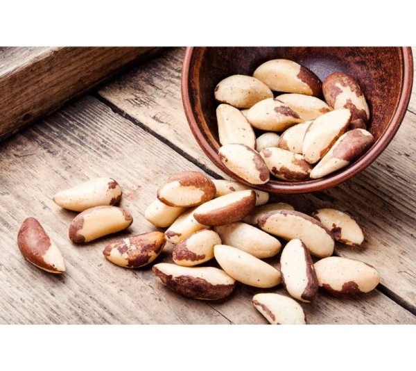 Brazil Nut - Skin, Coat & Weight Gain Support* The Petz Kitchen Dog & Cat Holistic Super Foods* - 8 OZ.