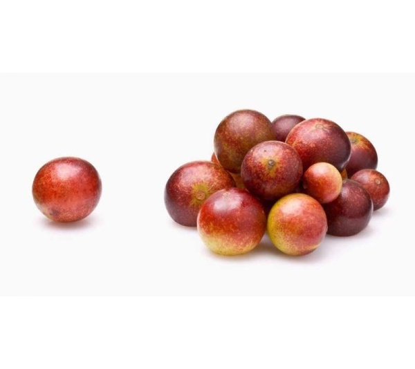 Camu Camu Extract Joint Teeth & Eye Support* The Petz Kitchen - Organic Human Grade Ingredients For Home Prepared Meals & Treats - 4 Oz