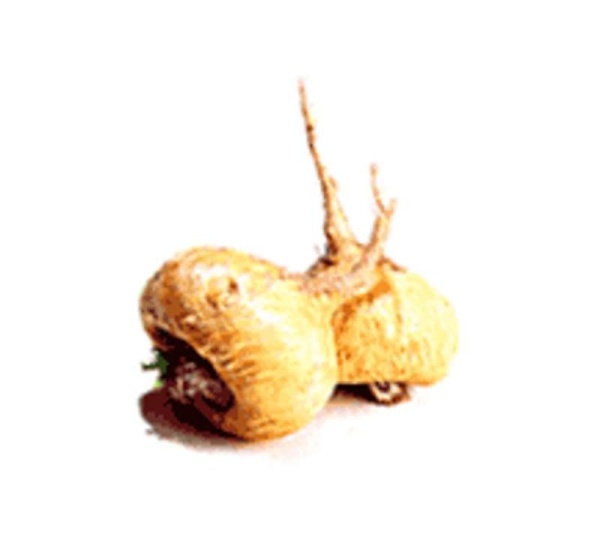 Dog And Cat Kryptonite Adrenal, Thyroid, Pituitary & Hypothalamic Support* - CAT/ 150 caps /  250 mg