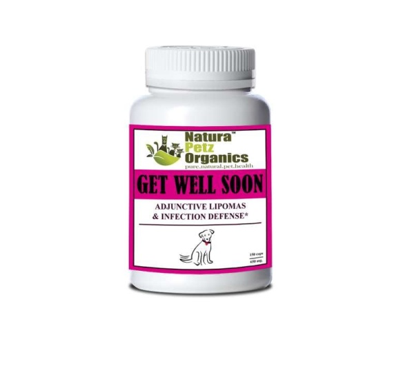 Get Well Soon - Adjunctive Lipoma + Infection Defense* - DOG/ 150 caps / 650 mg