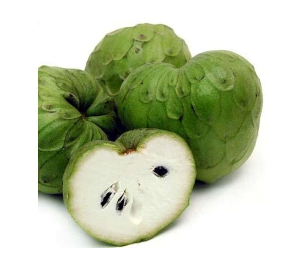 Graviola Leaf & Stem Powder - Infection, Adjunctive Tissue & Cellular Support* - The Petz Kitchen - Organic Human Grade Ingredients For Home Prepared Meals & Treats - 8 Oz