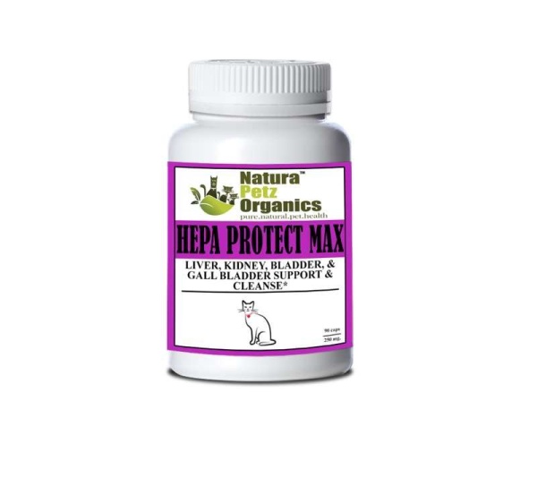 Hepa Protect Max Capsules - Liver, Kidney, Bladder & Gall Bladder Support & Cleanse* - CAT / 90 caps / 250 mg