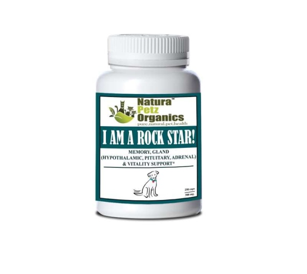 I Am A Rock Star - Memory, Gland (Hypothalamic, Pituitary And Adrenal) & Vitality Support* - DOG/ 250 caps / 500 mg