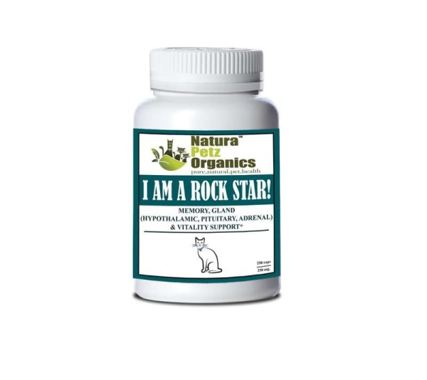I Am A Rock Star - Memory, Gland (Hypothalamic, Pituitary And Adrenal) & Vitality Support* - CAT/ 250 caps / 250 mg