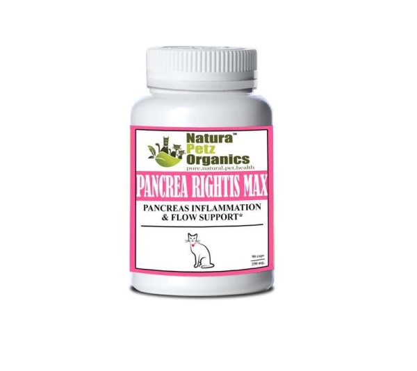 Pancrea Rightis Max Support* Capsules Pancreas Inflammation & Flow Support Dogs Cats* - CAT - 90 caps / 250 mg