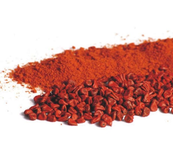 Probiotic Digestive, Bladder & Urinary Tract Support* - CAT/ 150 caps / 175 mg / Size 3