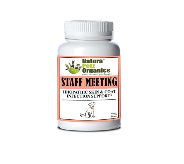 Staff Meeting* Idiopathic Skin & Coat Infection* Support For Dogs And Cats* - DOG 90 Caps - 500 mg. Size 1