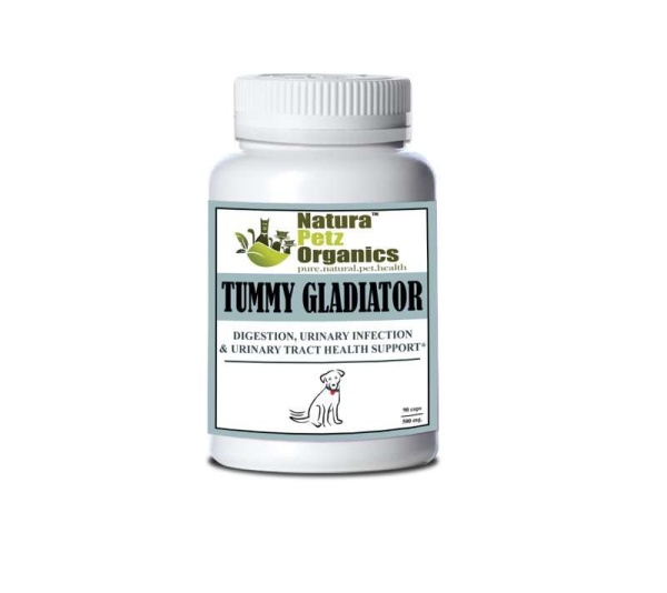 Tummy Gladiator - Digestion, Adjunctive Reflux & Urinary Tract Support* - Dog / 90 caps / 500 mg/Size 1