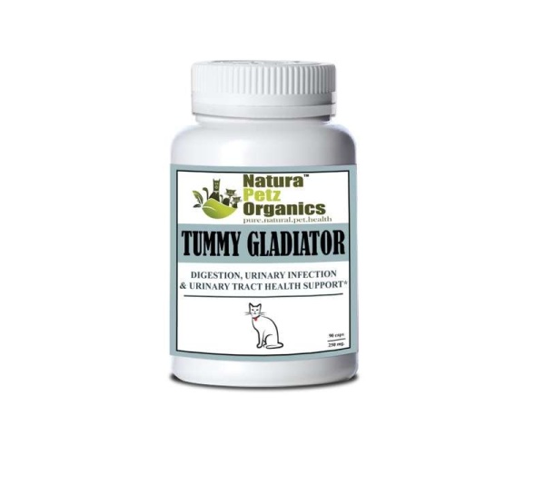 Tummy Gladiator - Digestion, Adjunctive Reflux & Urinary Tract Support* - Cat / 90 caps/ 250 mg/ Size 3