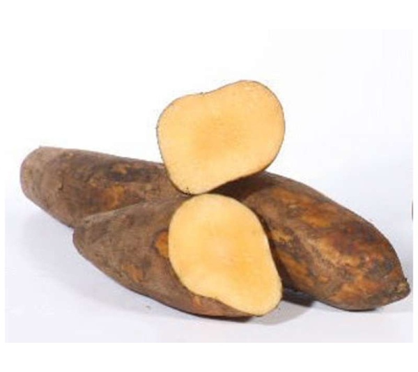 Yacon Leaf - Antioxidant Pancreatic Support* Glycemic & Glucose Support* The Petz Kitchen - Organic Human Grade Ingredients For Home Prepared Meals & Treats - 8 Oz