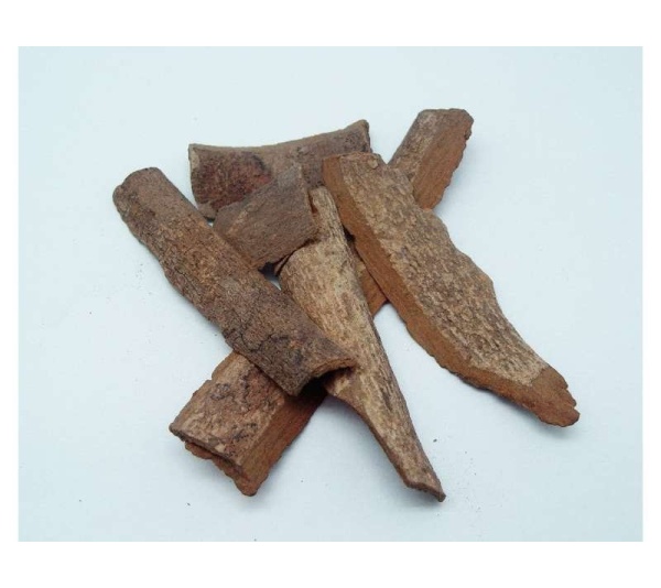 Sangre De Grado - Wound & Infection Support* The Petz Kitchen - Organic & Human Grade Ingredients & Shakers For Home Prepared Meals & Treats - 8 Oz