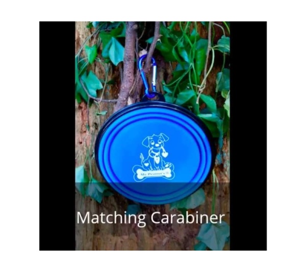 Single Blue Silicone Collapsible Travel Bowl - 12oz