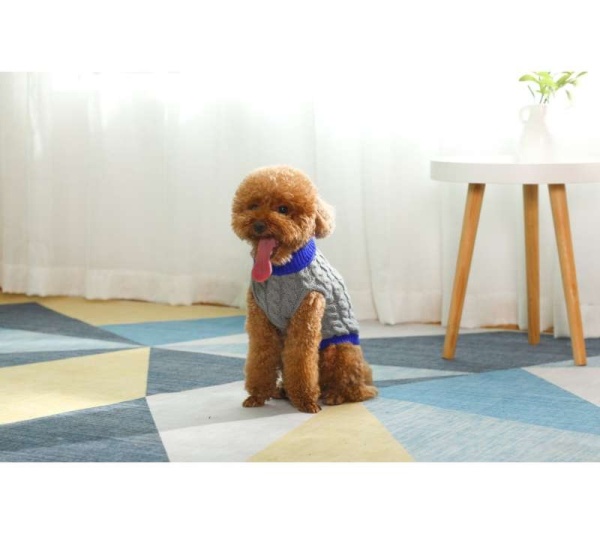 Gray With Regal Blue Fringe - Mr. Peanut's Knitted Acrylic Dog Sweaters - XX Large