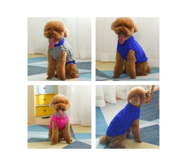 Gray With Regal Blue Fringe - Mr. Peanut's Knitted Acrylic Dog Sweaters - XX Large