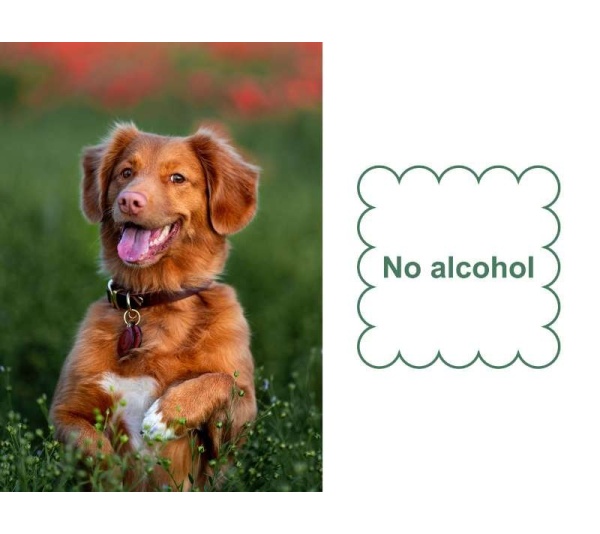 Mr. Peanut's Naturals Pet Cologne -