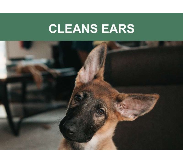 Mr. Peanut's Naturals Pet Wipes -