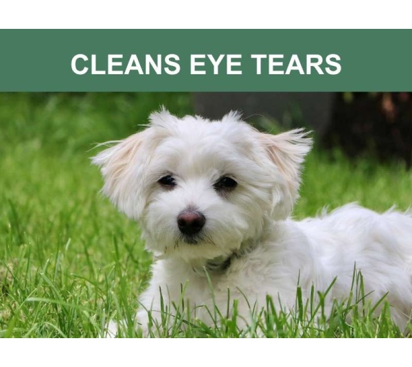 Mr. Peanut's Naturals Pet Wipes -