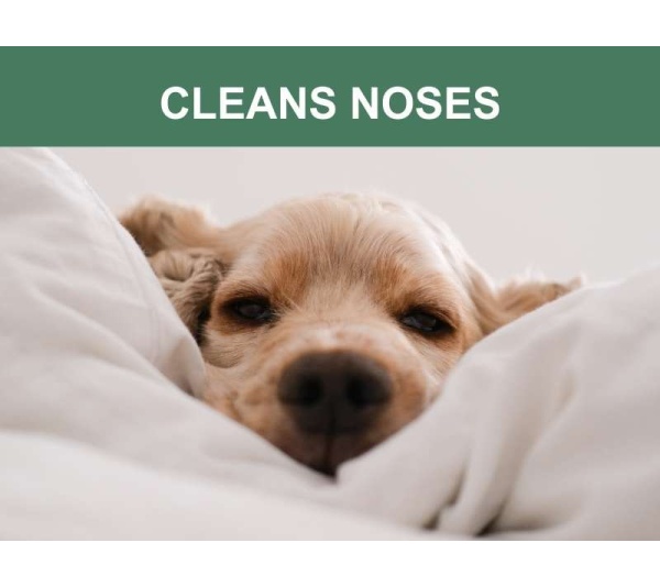 Mr. Peanut's Naturals Pet Wipes -