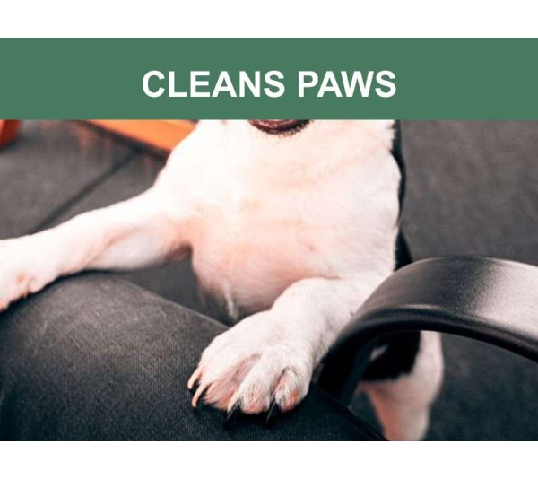 Mr. Peanut's Naturals Pet Wipes -