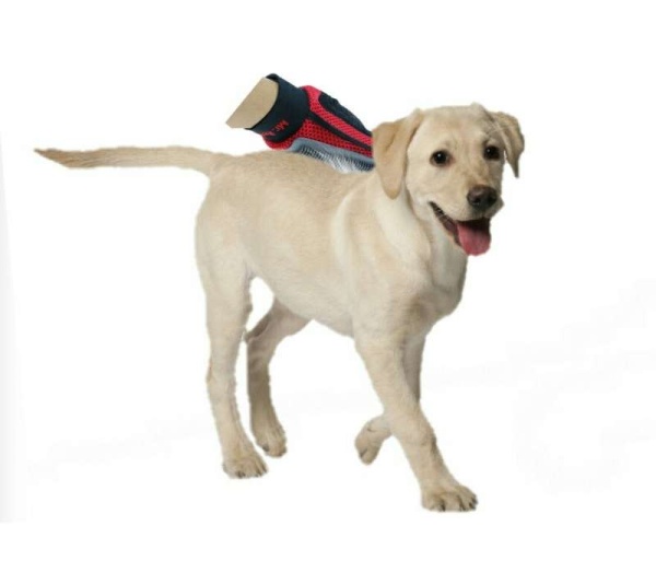 Mr. Peanut's Original Pet Grooming Glove -