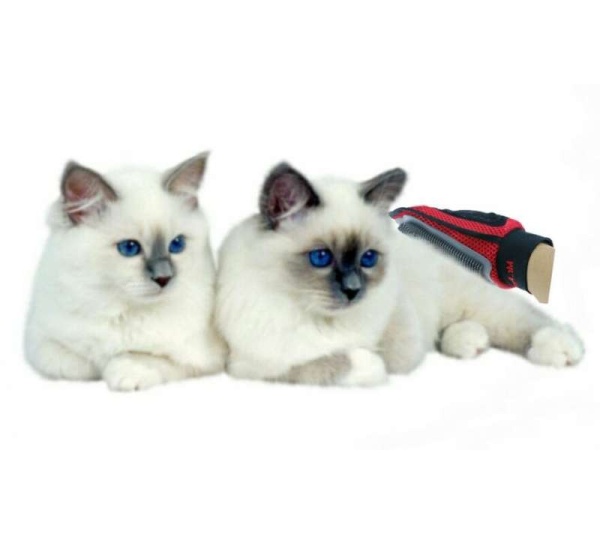 Mr. Peanut's Original Pet Grooming Glove -