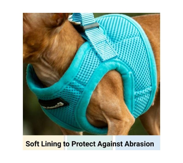 Blue - Mr. Peanut's PupTrek Small Dog/Cat Soft Mesh Step In Harness Vest - XSmall