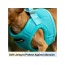 Blue - Mr. Peanut's PupTrek Small Dog/Cat Soft Mesh Step In Harness Vest - XSmall