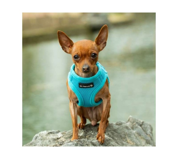 Blue - Mr. Peanut's PupTrek Small Dog/Cat Soft Mesh Step In Harness Vest - XSmall