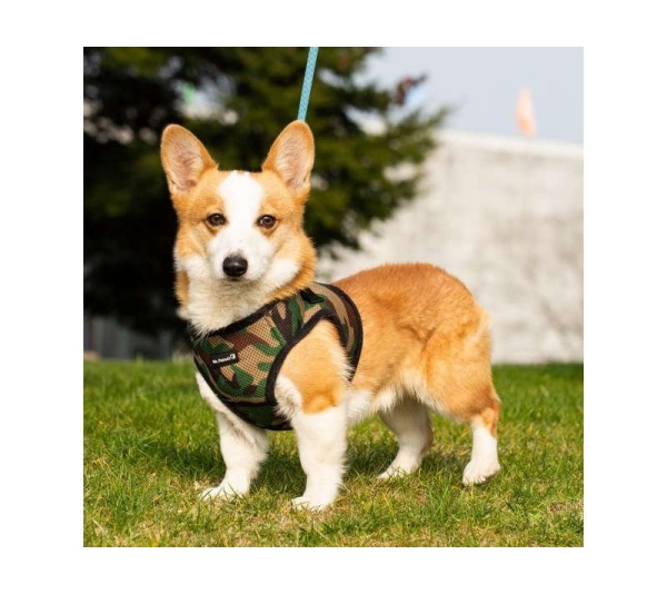Camo - Mr. Peanut's PupTrek Small Dog/Cat Soft Mesh Step In Harness Vest - XSmall
