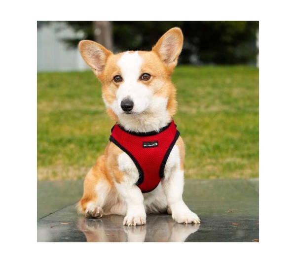Red - Mr. Peanut's PupTrek Small Dog/Cat Soft Mesh Step In Harness Vest - Small