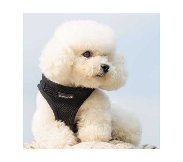 Black - Mr. Peanut's PupTrek Small Dog/Cat Soft Mesh Step In Harness Vest - Medium