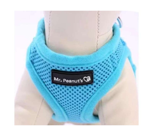 Blue - Mr. Peanut's PupTrek Small Dog/Cat Soft Mesh Step In Harness Vest - Medium