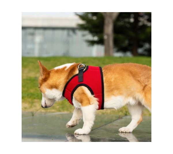 Red - Mr. Peanut's PupTrek Small Dog/Cat Soft Mesh Step In Harness Vest - Large