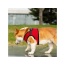 Red - Mr. Peanut's PupTrek Small Dog/Cat Soft Mesh Step In Harness Vest - Large