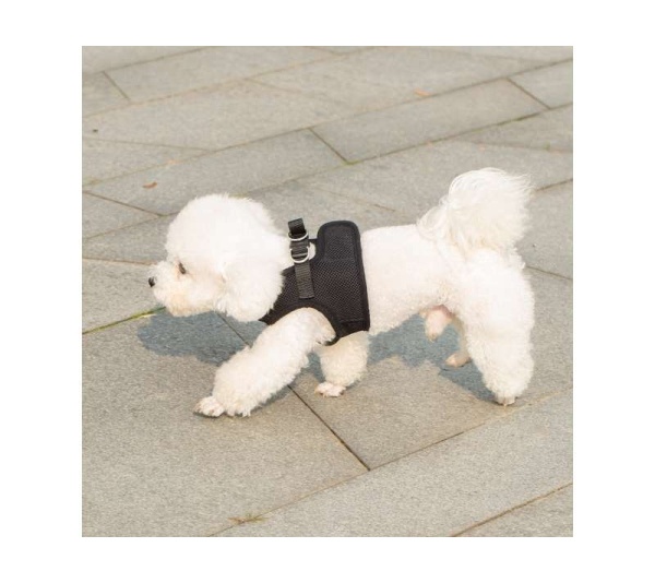 Black - Mr. Peanut's PupTrek Small Dog/Cat Soft Mesh Step In Harness Vest - XLarge