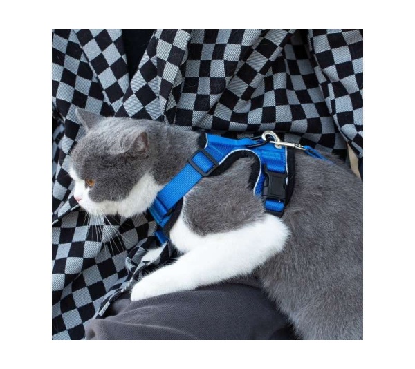 Blue - Mr. Peanut's PurrTrek Reflective Cat Harness with Matching Leash - X Small