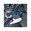 Blue - Mr. Peanut's PurrTrek Reflective Cat Harness with Matching Leash - X Small