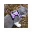 Lilac - Mr. Peanut's PurrTrek Reflective Cat Harness with Matching Leash - X Small