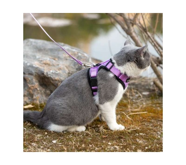 Lilac - Mr. Peanut's PurrTrek Reflective Cat Harness with Matching Leash - X Small