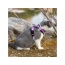 Lilac - Mr. Peanut's PurrTrek Reflective Cat Harness with Matching Leash - X Small