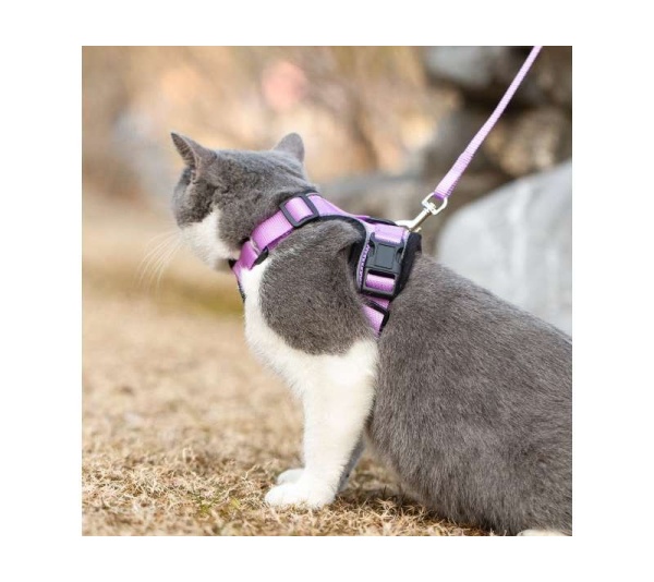 Lilac - Mr. Peanut's PurrTrek Reflective Cat Harness with Matching Leash - Small