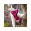 Pink - Mr. Peanut's PurrTrek Reflective Cat Harness with Matching Leash - Small