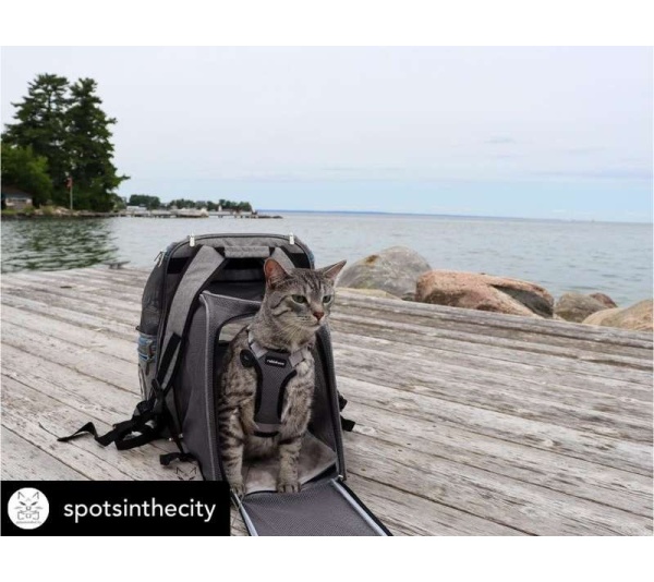 Mr. Peanut's Tahoe Series Expandable Backpack Pet Carrier - 17 in Hx14.4 in Wx9 in D