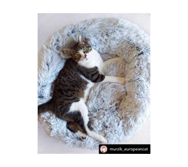 Snowflake White Two Tone - Mr. Peanut's OrthoPlush Pet Bed - 28 in