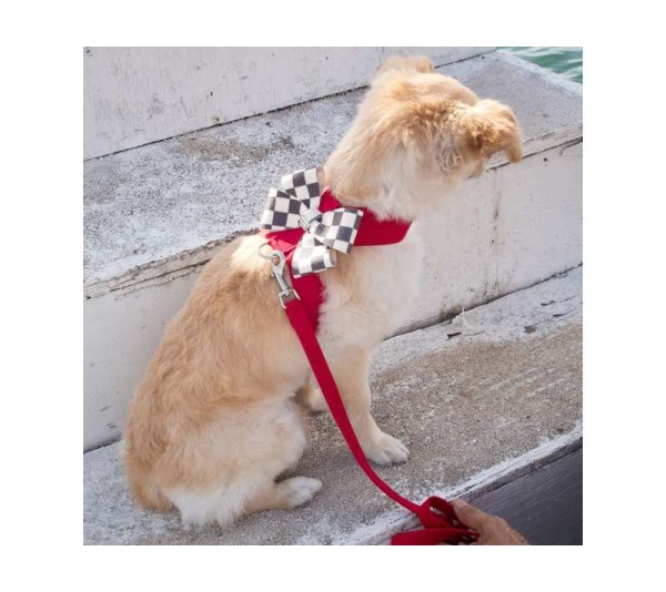 Red - Susan Lanci Designs Plain Leash - 4 FT