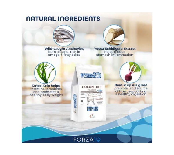 Forza10 Active Colon Support Diet Phase 1 Dry Dog Food - 22-lb bag