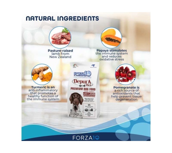 Forza10 Active Depura Diet Lamb Dry Dog Food - 25-lb bag