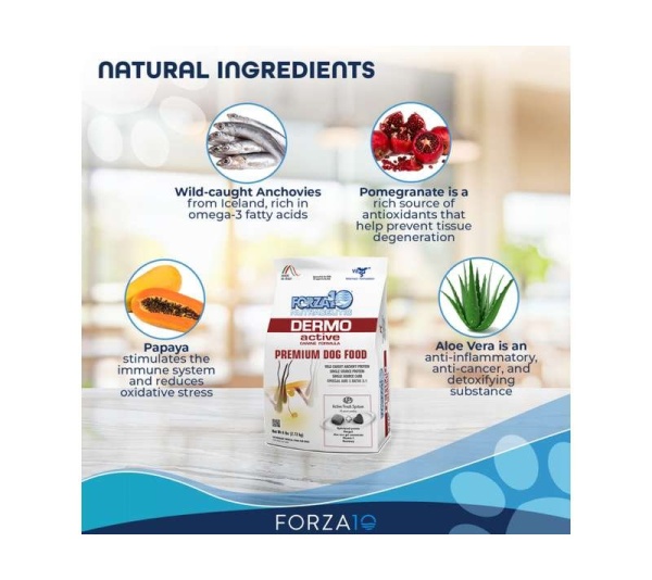 Forza10 Active Dermo Dry Dog Food - 6-lb bag