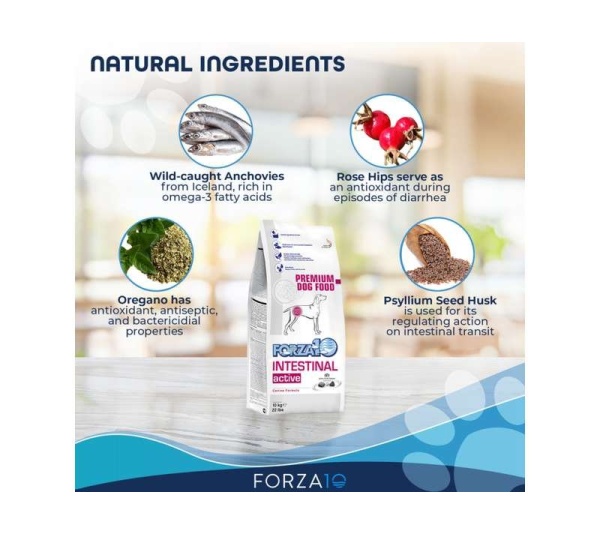 Forza10 Active Intestinal Support Diet Dry Dog Food - 22-lb bag