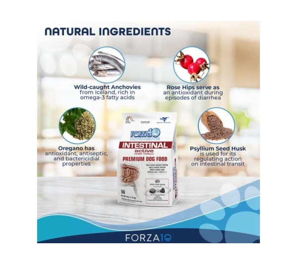 Forza10 Active Intestinal Support Diet Dry Dog Food - 6-lb bag